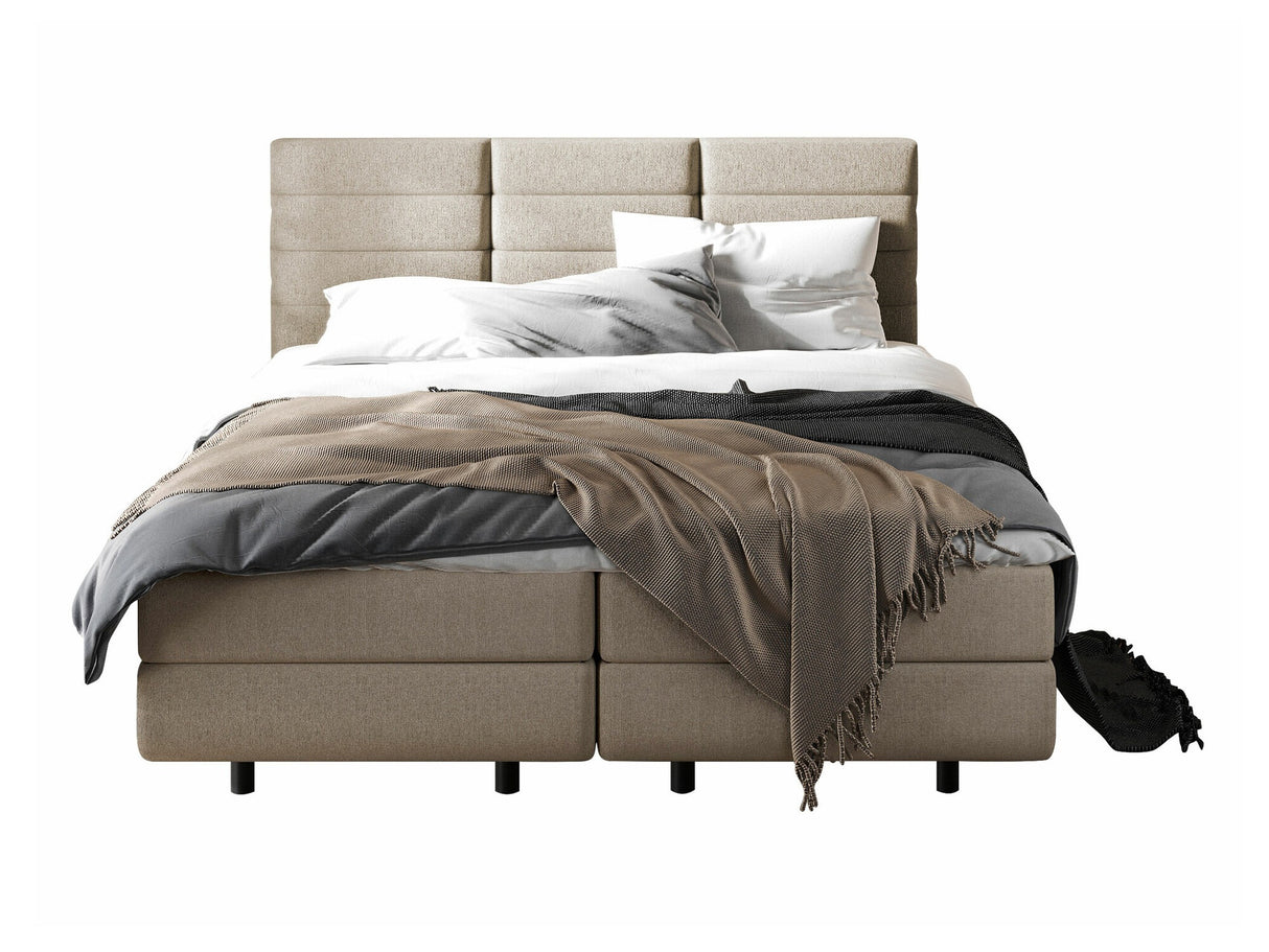 Continental lova 501441