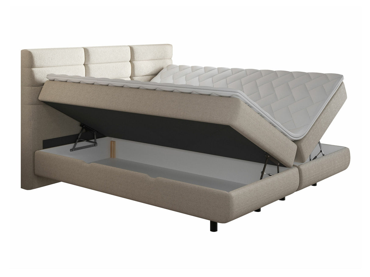 Continental lova 501441