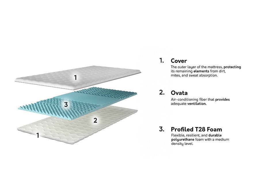 Antčiužinis 573756 3894958