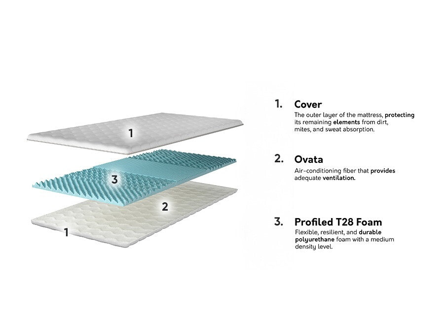 Antčiužinis 573756 3894962