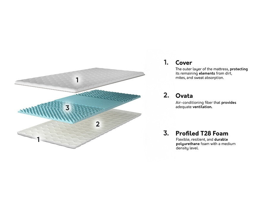 Antčiužinis 573756 3894963