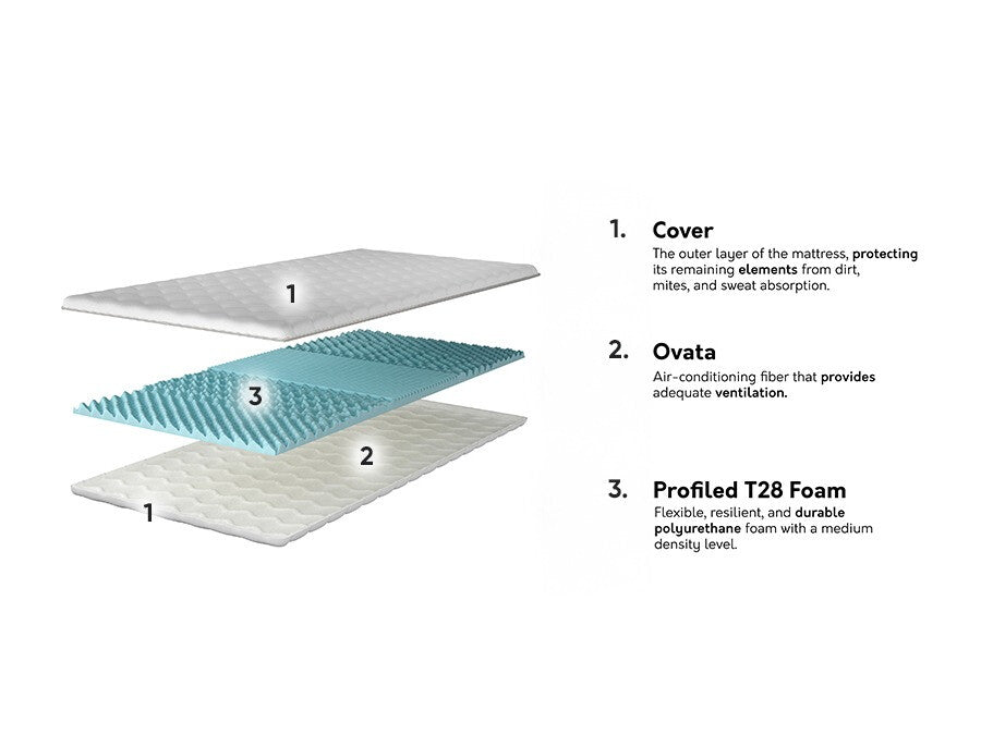 Antčiužinis 573756 3894964