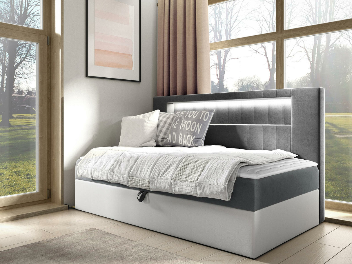 Continental lova 470032
