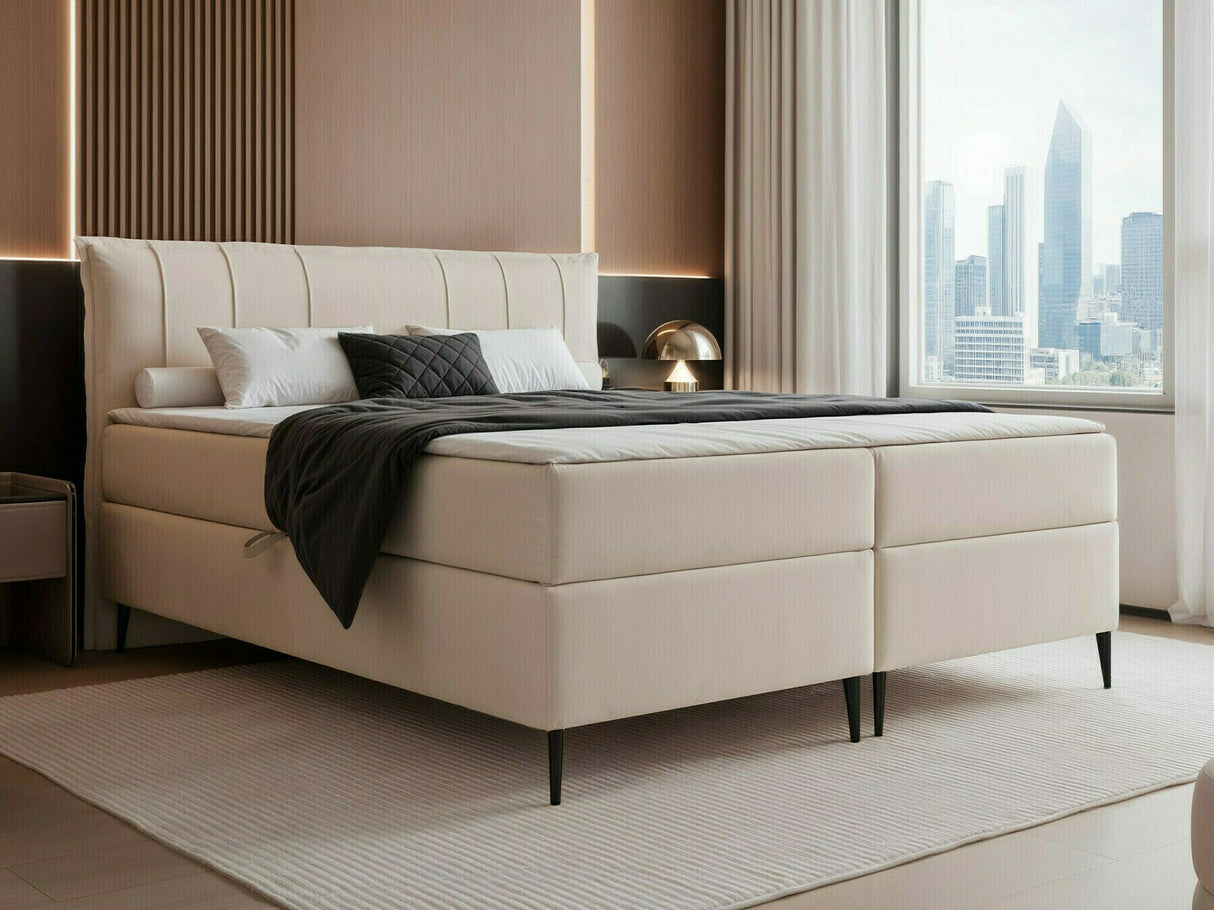 Continental lova 578294