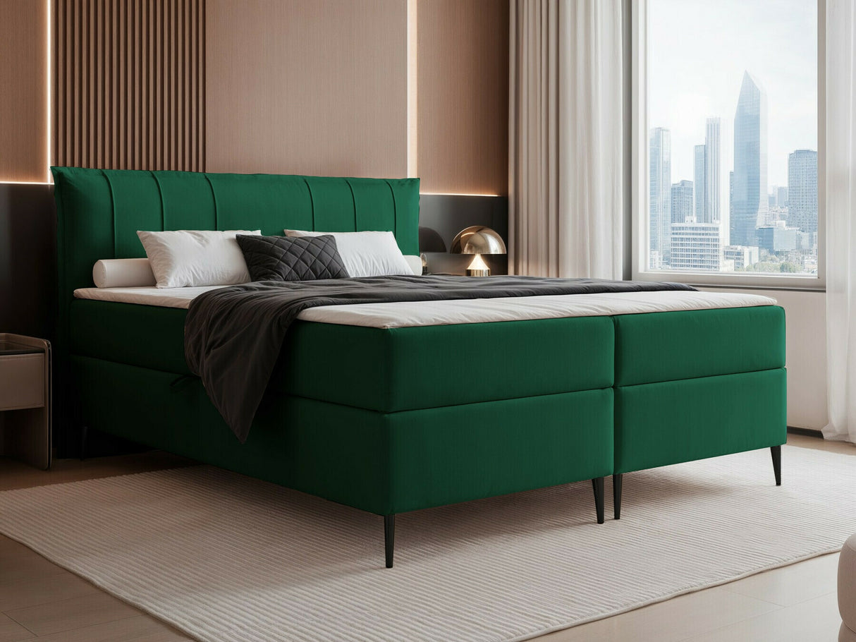 Continental lova 578294