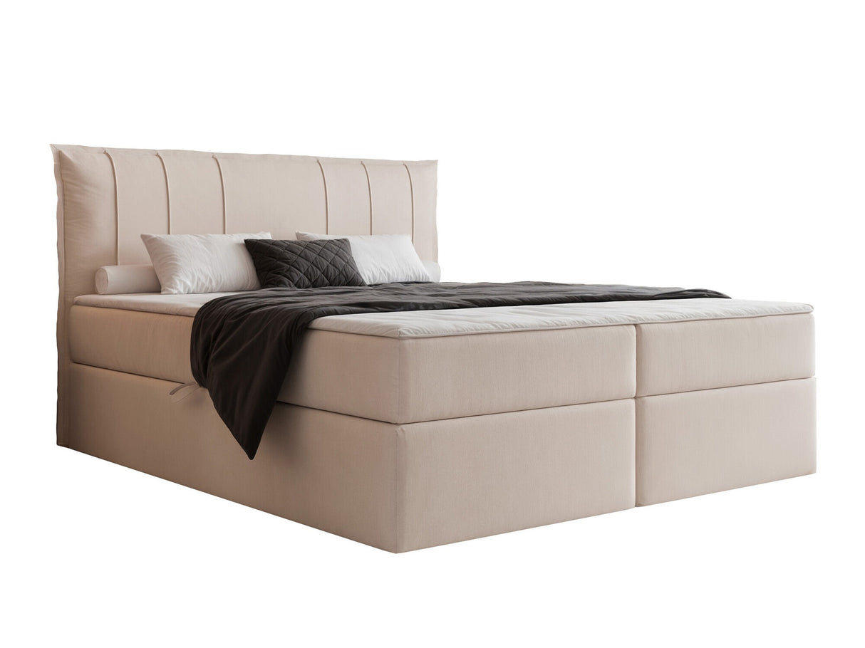 Continental lova 578427