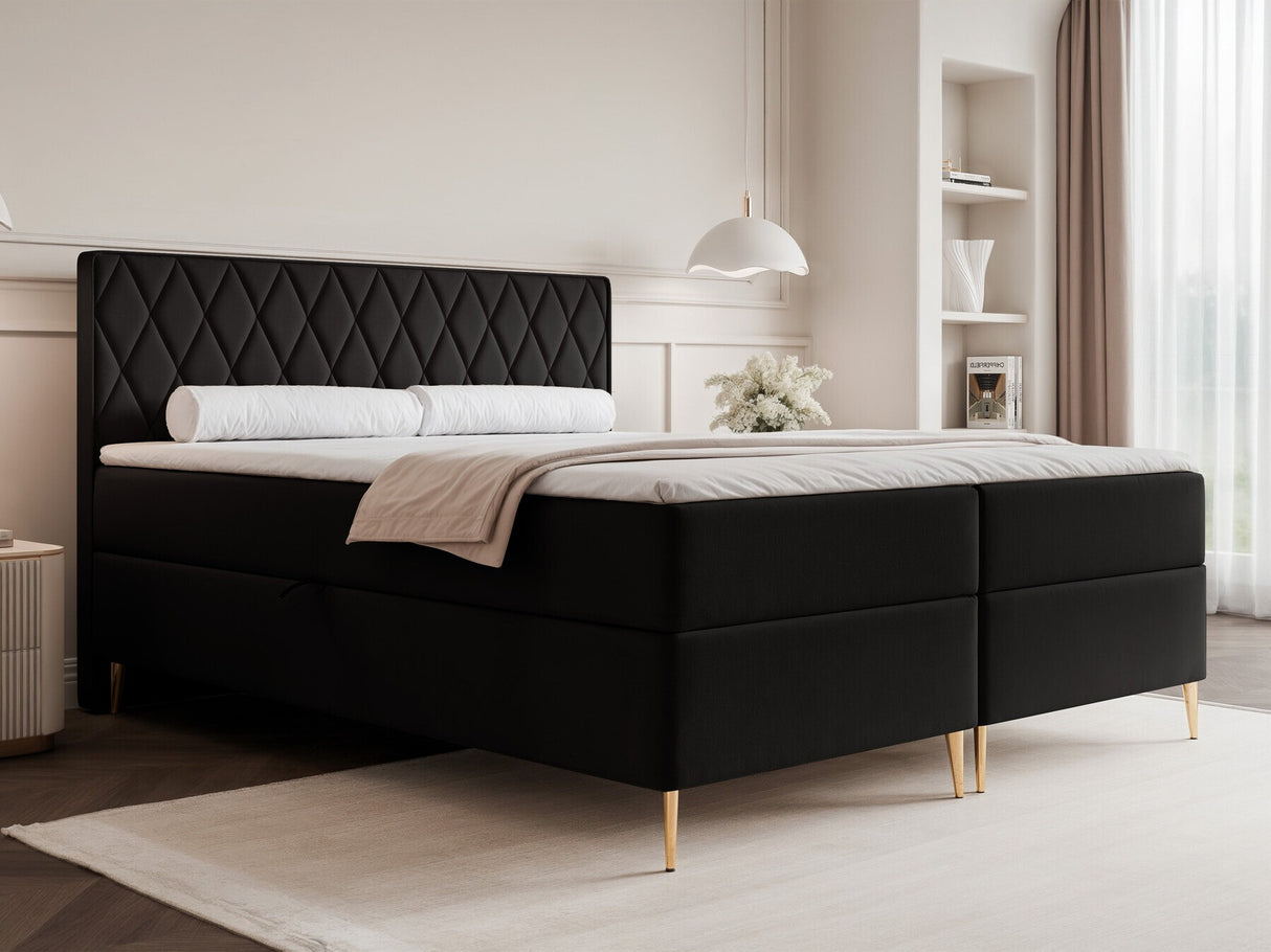 Continental lova 579146