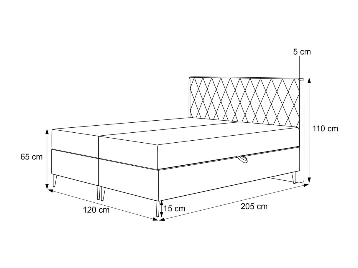 Continental lova 579146