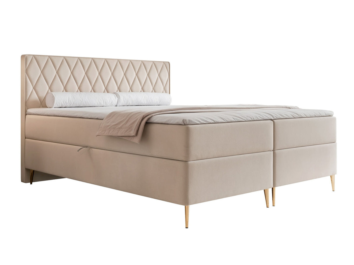 Continental lova 579146