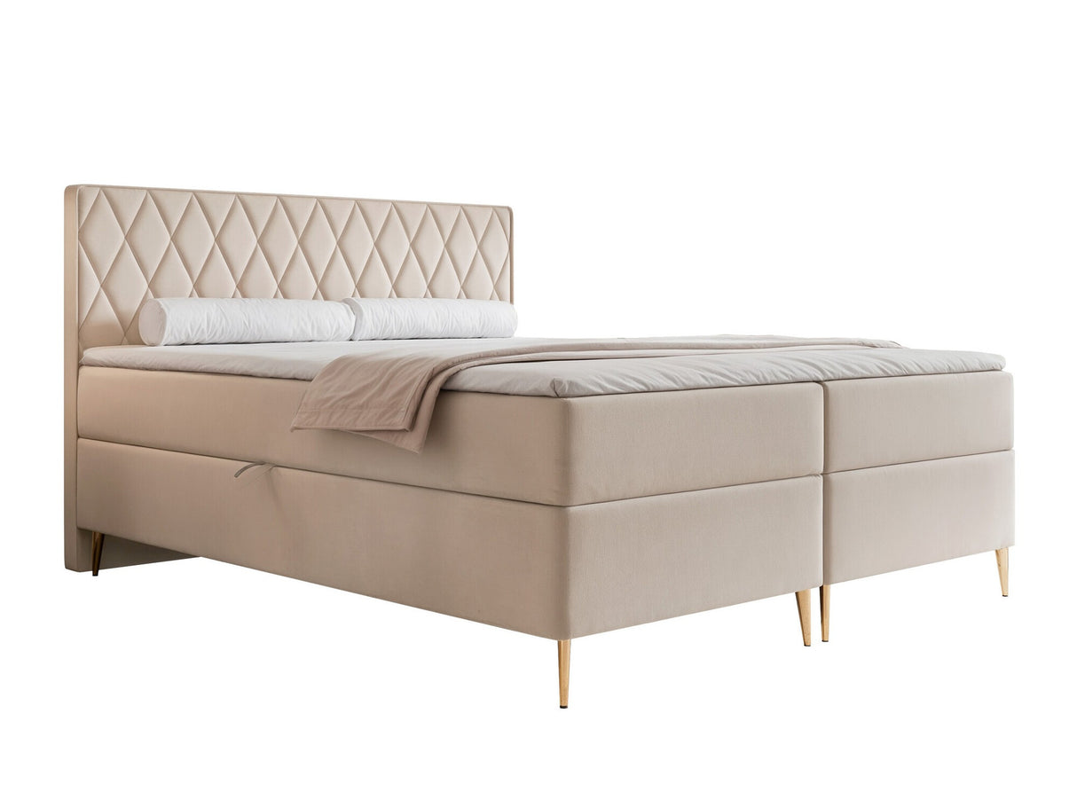 Continental lova 579146
