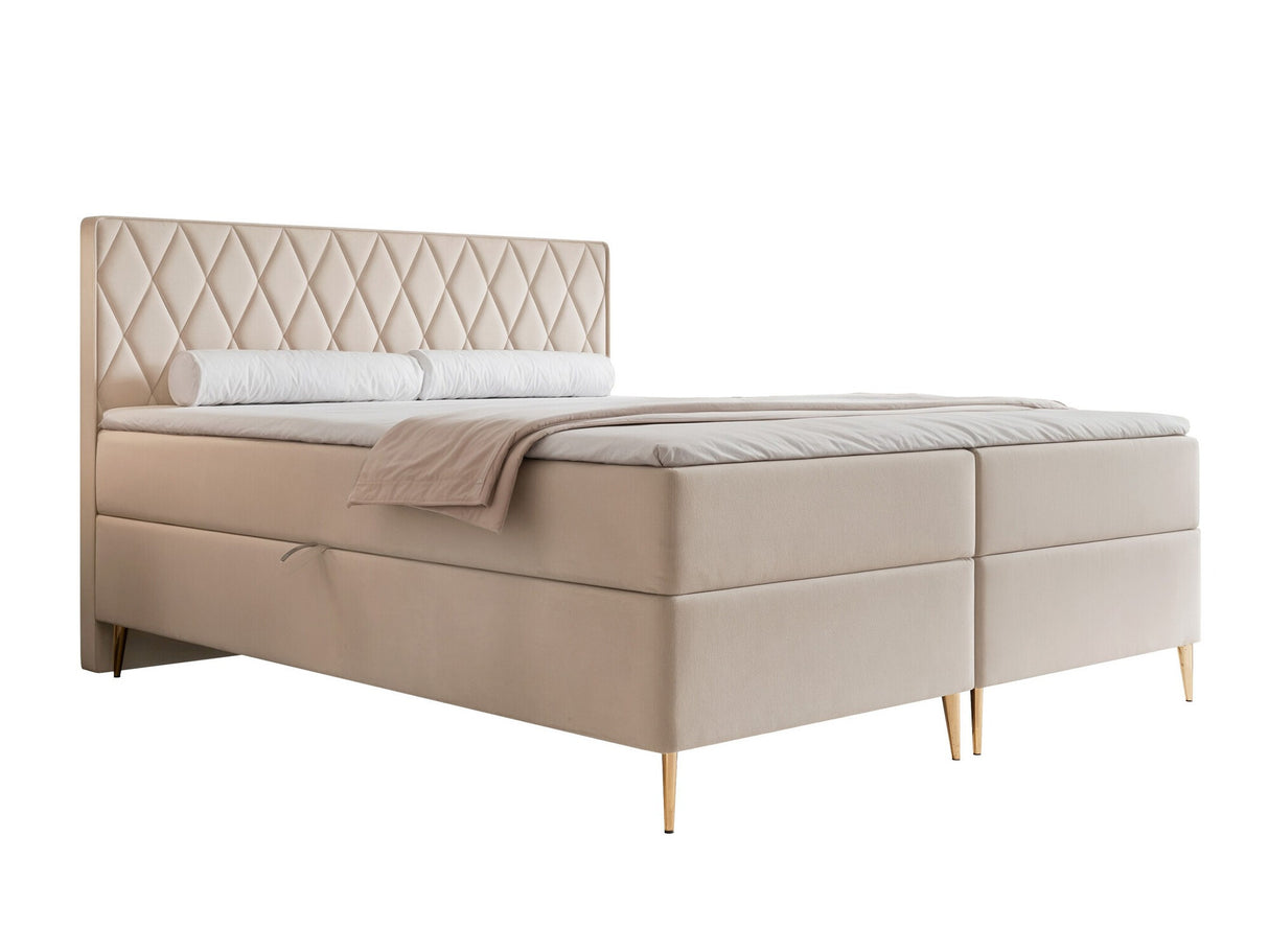 Continental lova 579146