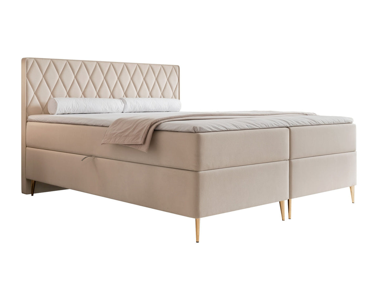 Continental lova 579146