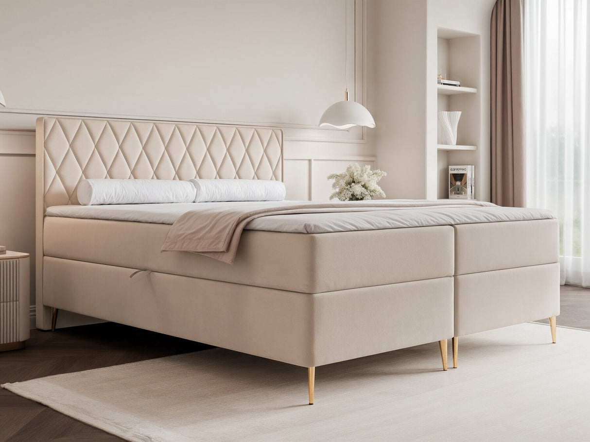 Continental lova 579146