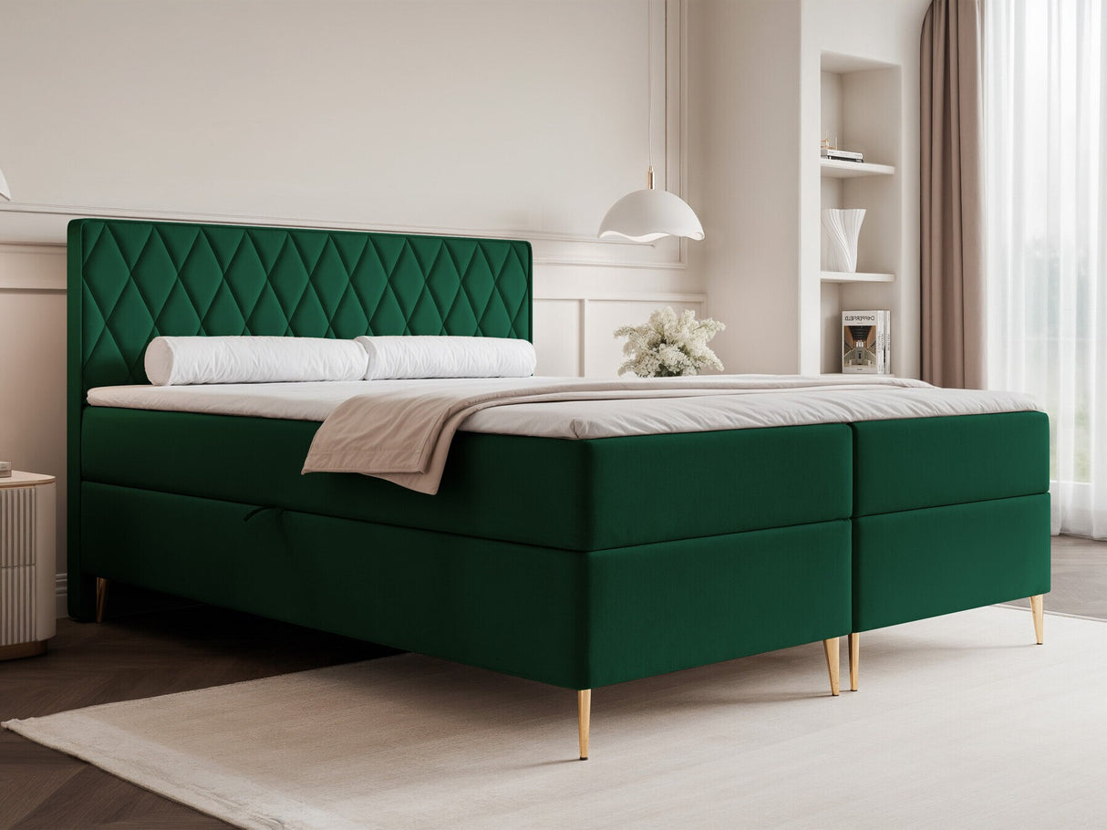 Continental lova 579146