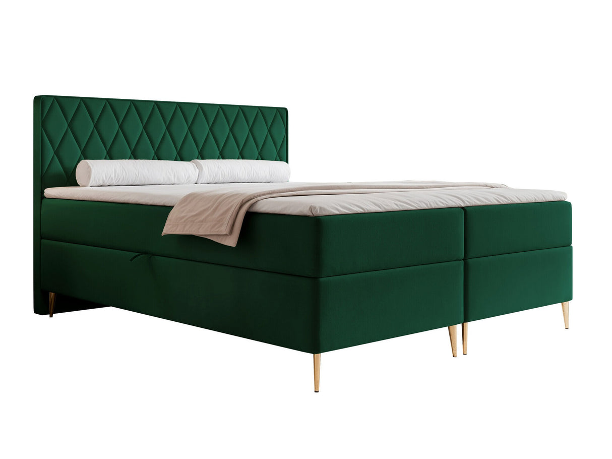 Continental lova 579146