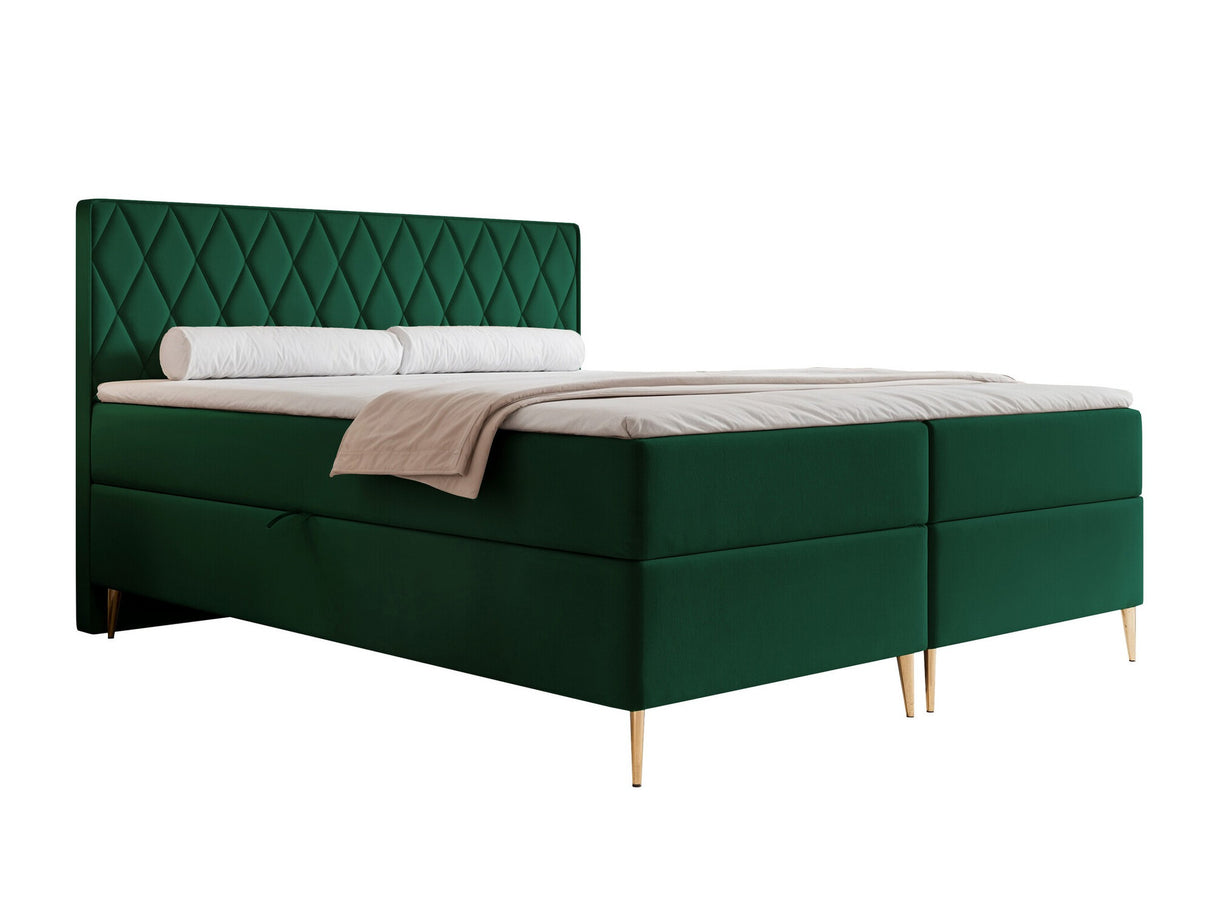 Continental lova 579146