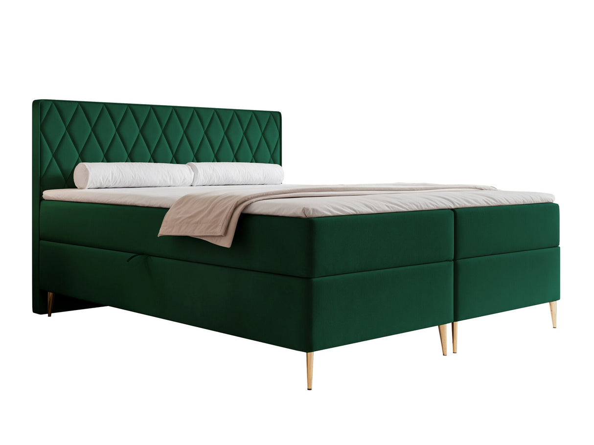 Continental lova 579146