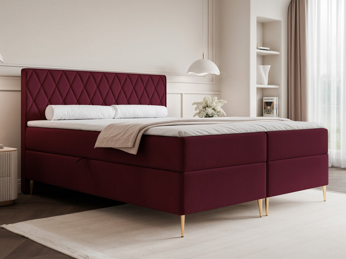 Continental lova 579146