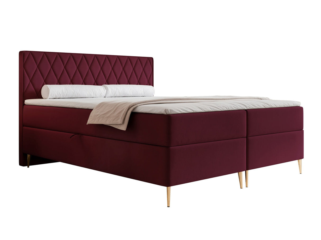 Continental lova 579146