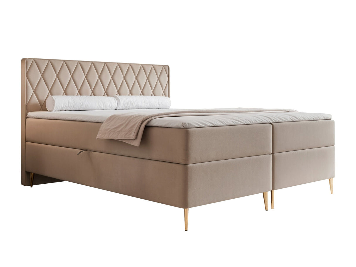 Continental lova 579146