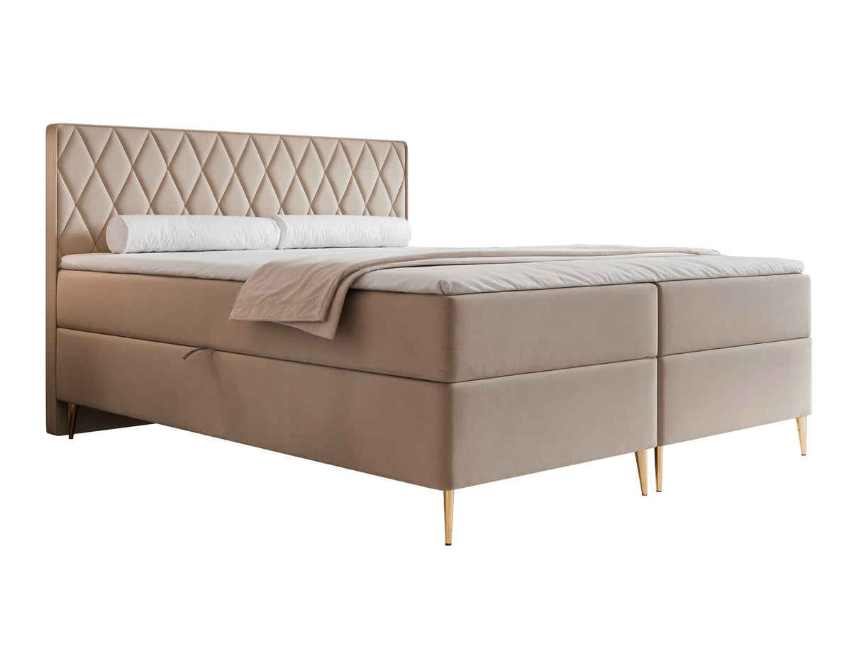 Continental lova 579146