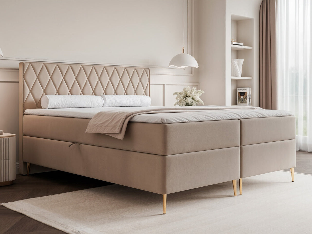 Continental lova 579146