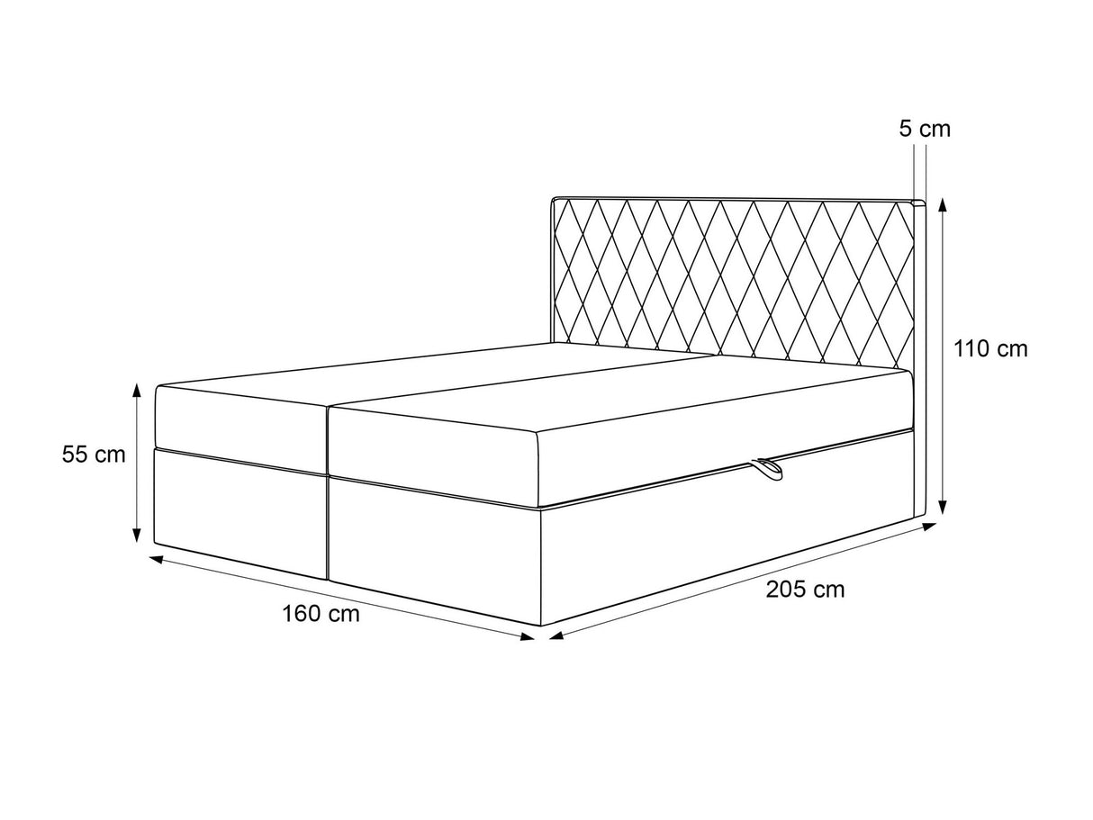 Continental lova 579670