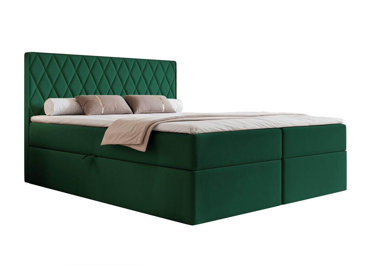 Continental lova 579670