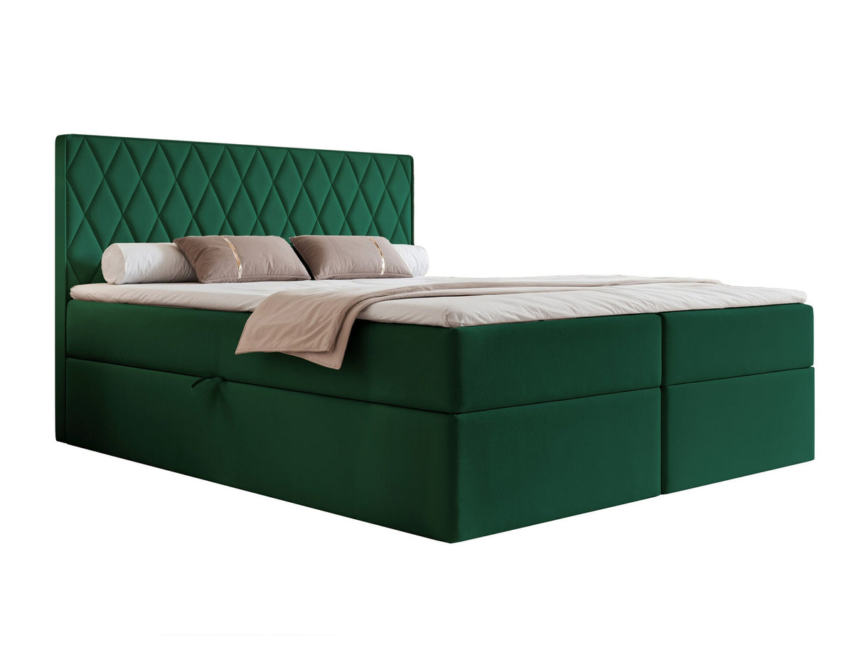 Continental lova 579670