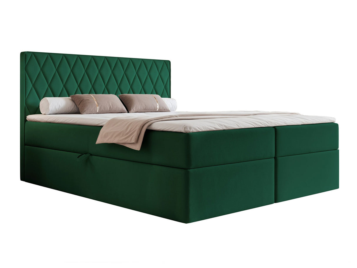 Continental lova 579670
