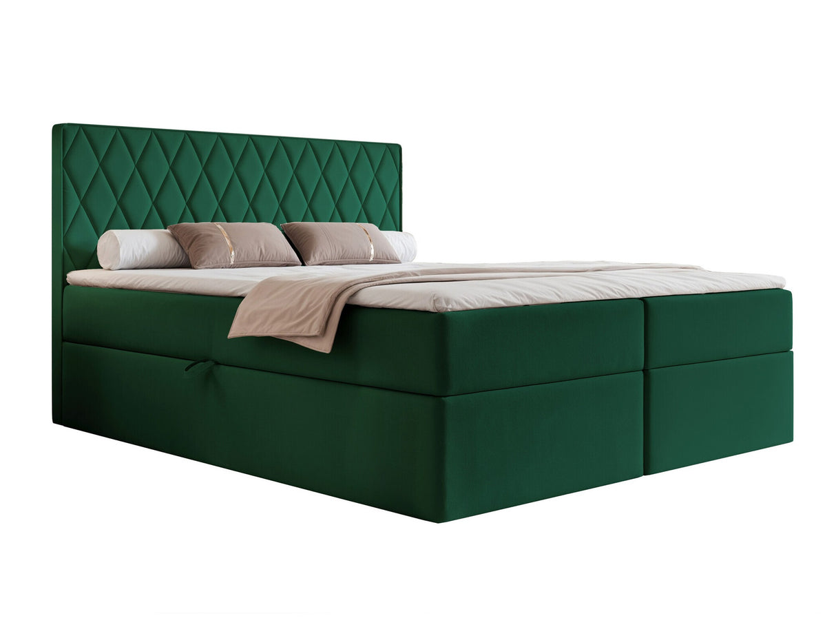Continental lova 579670