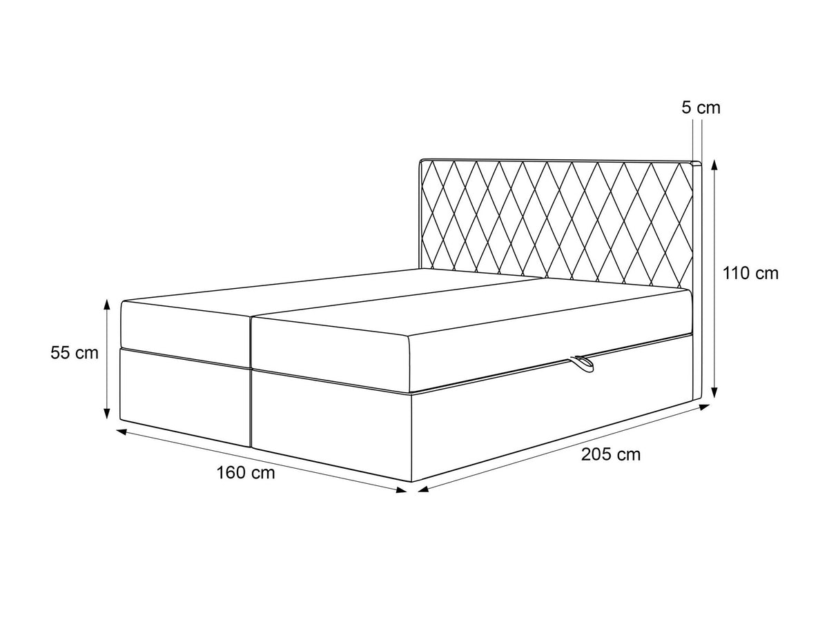 Continental lova 579670