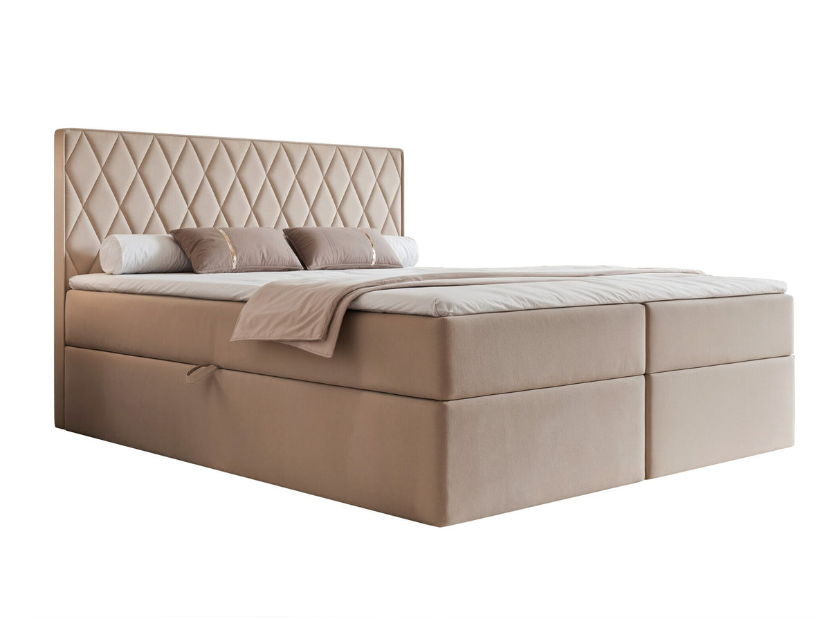 Continental lova 579670