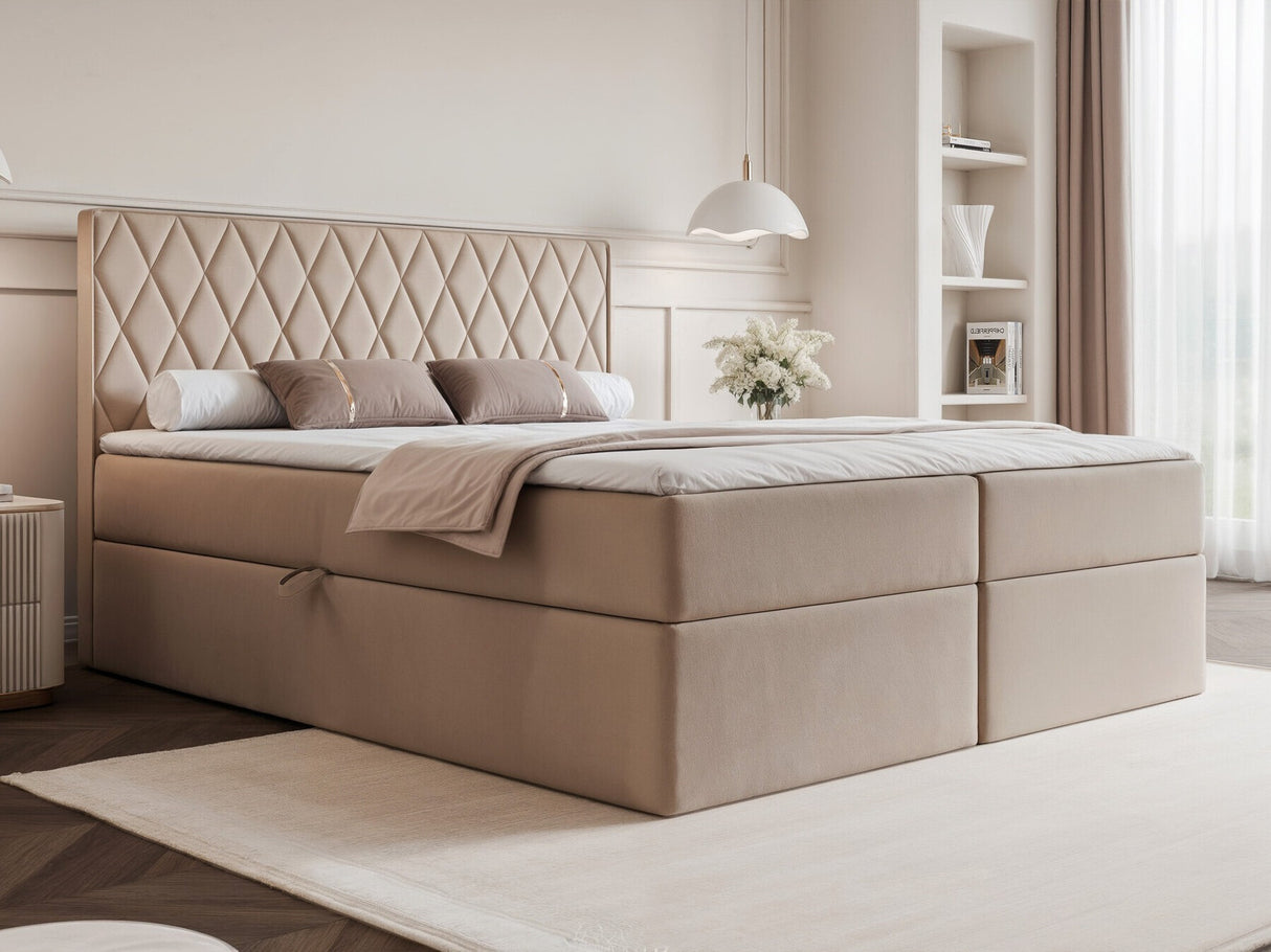 Continental lova 579670