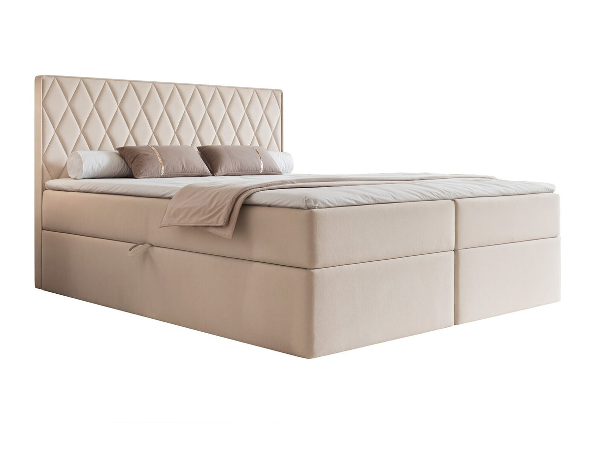 Continental lova 579670