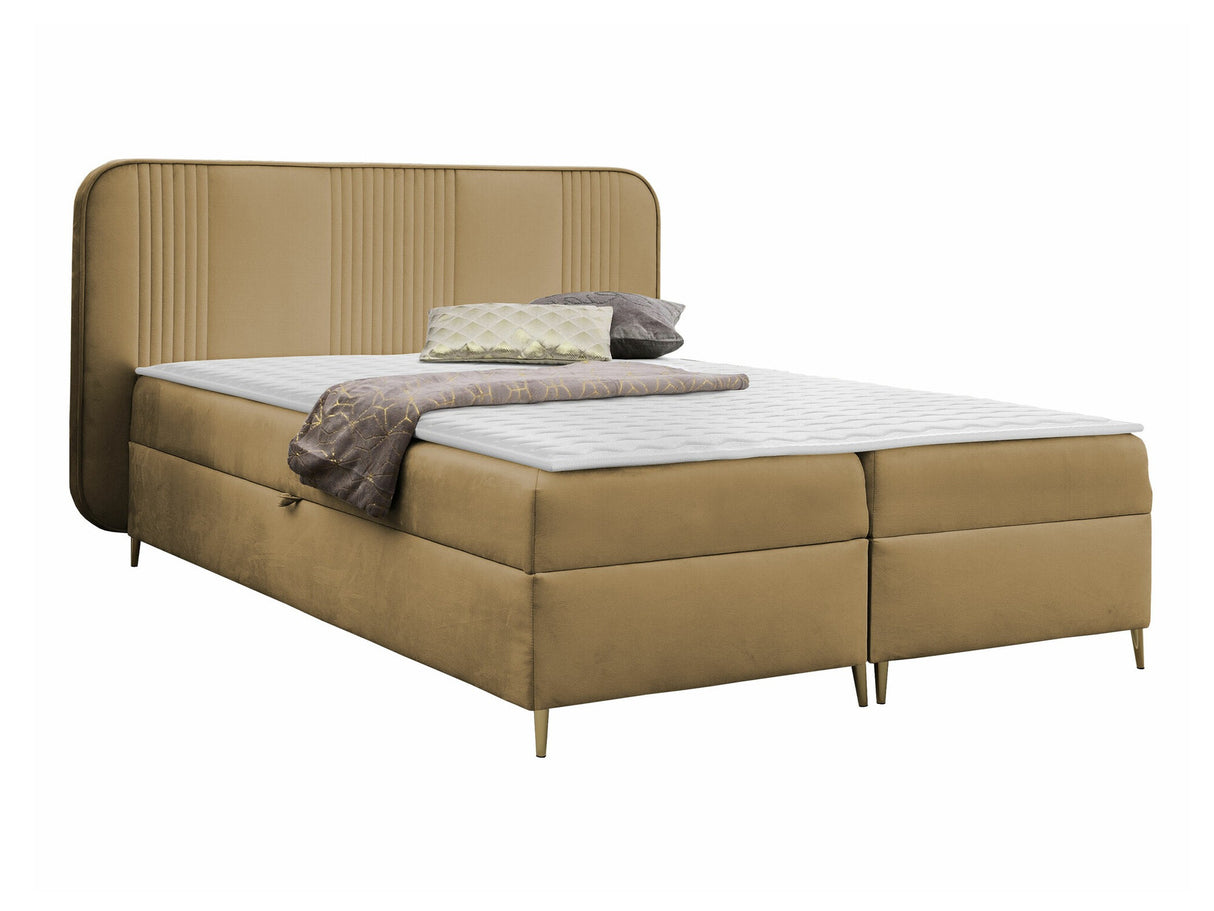 Continental lova 582487