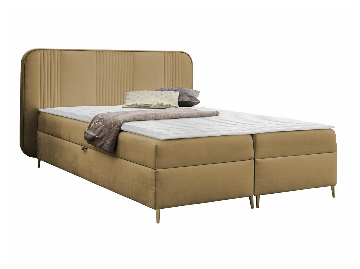 Continental lova 582487