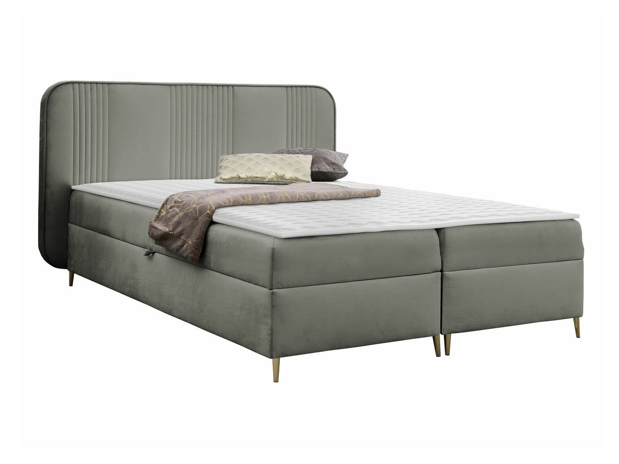 Continental lova 582487