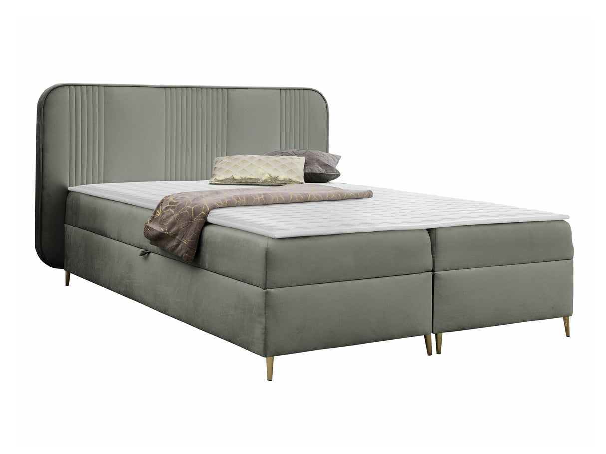 Continental lova 582487