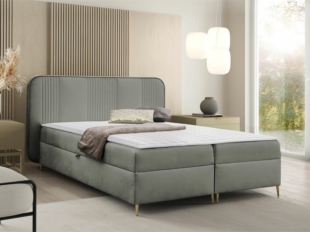 Continental lova 582487