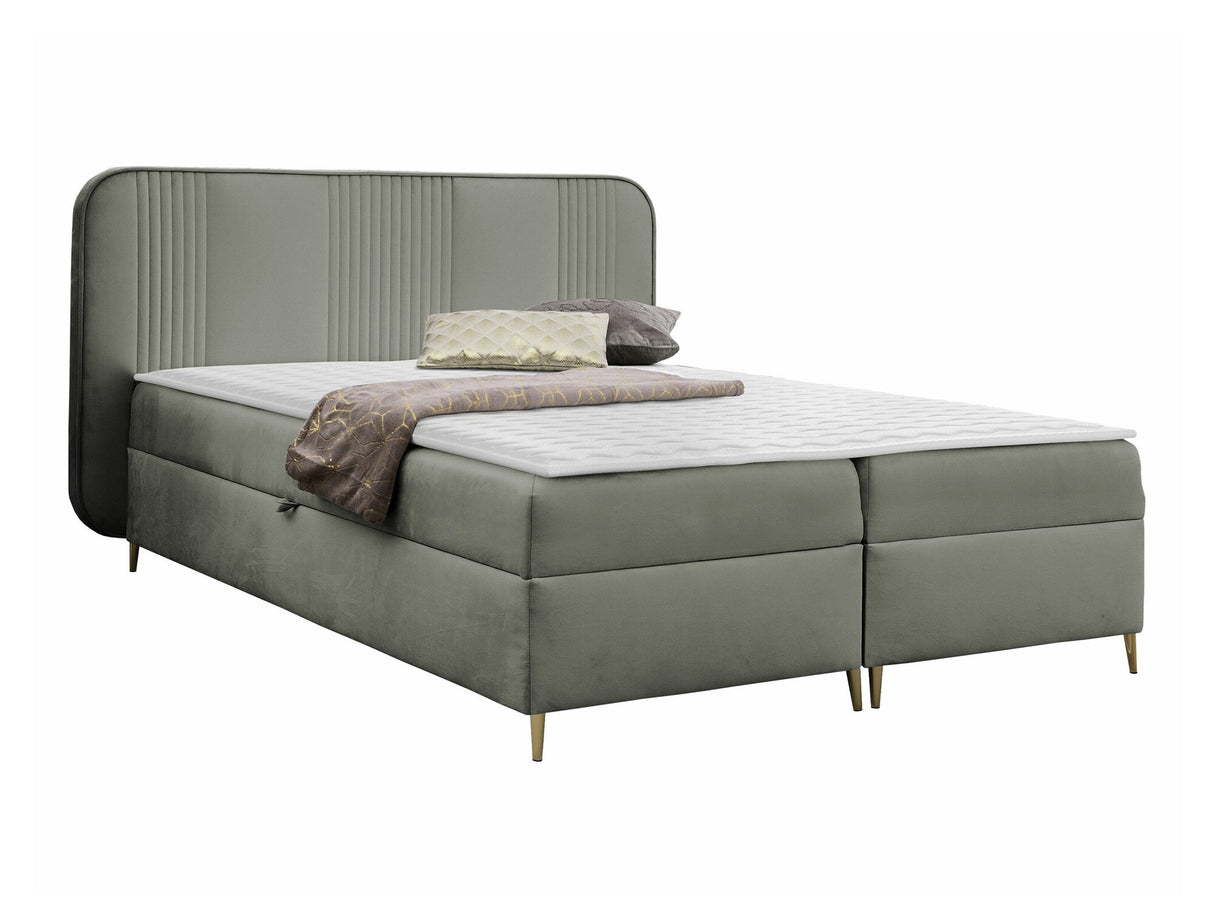 Continental lova 582487