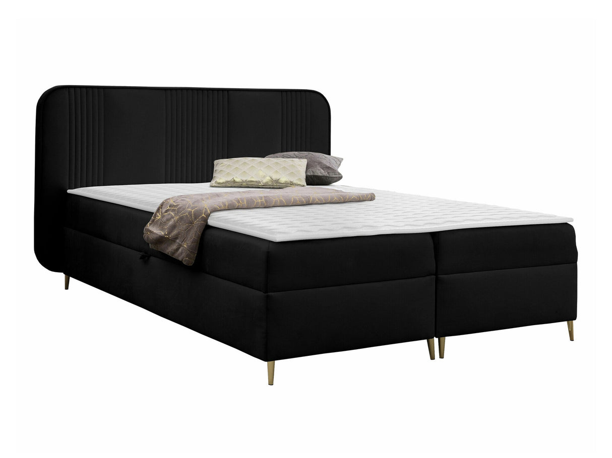 Continental lova 582487