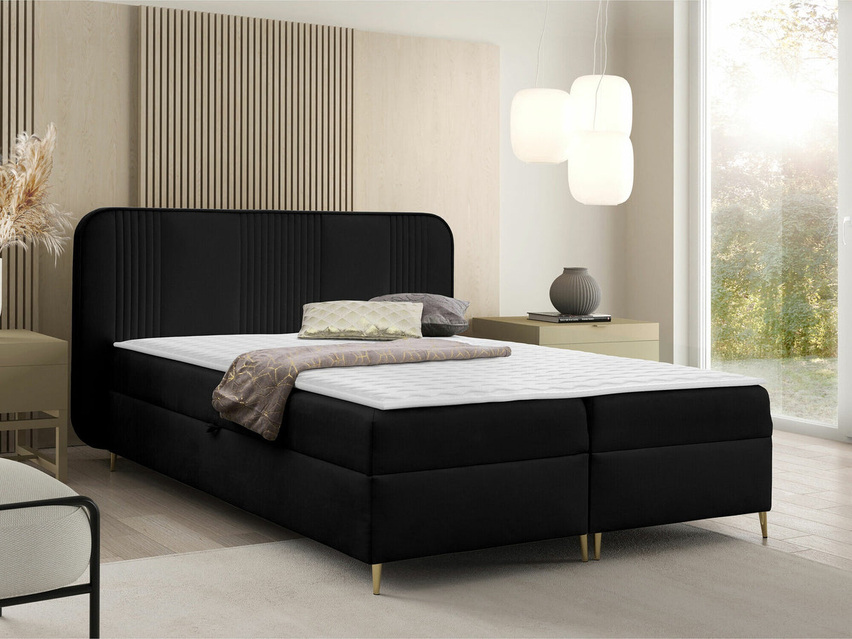 Continental lova 582487