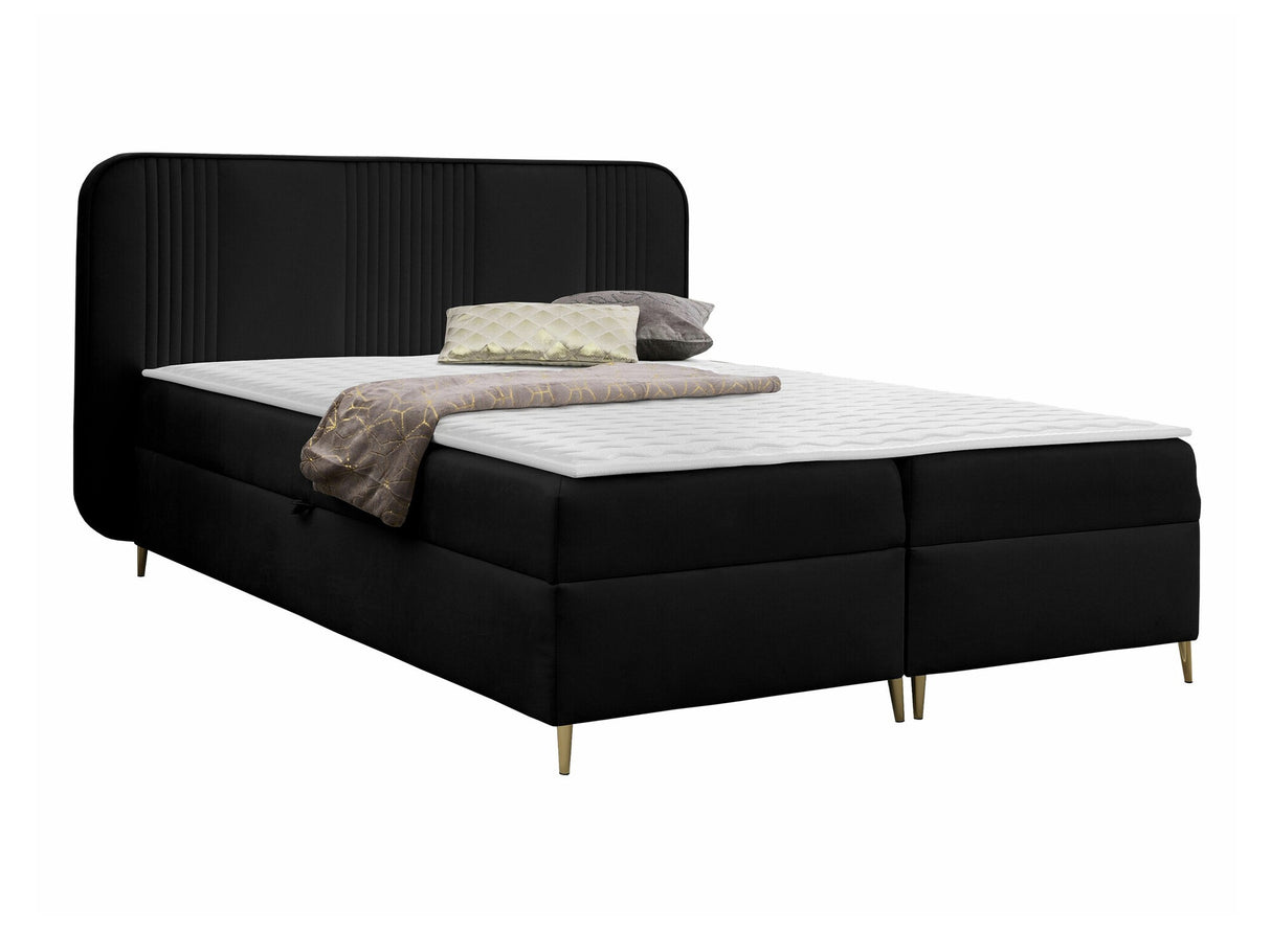 Continental lova 582487