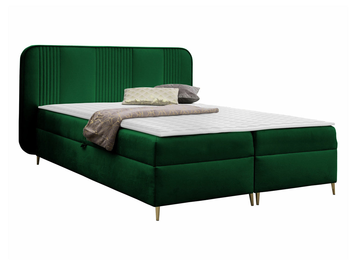 Continental lova 582487