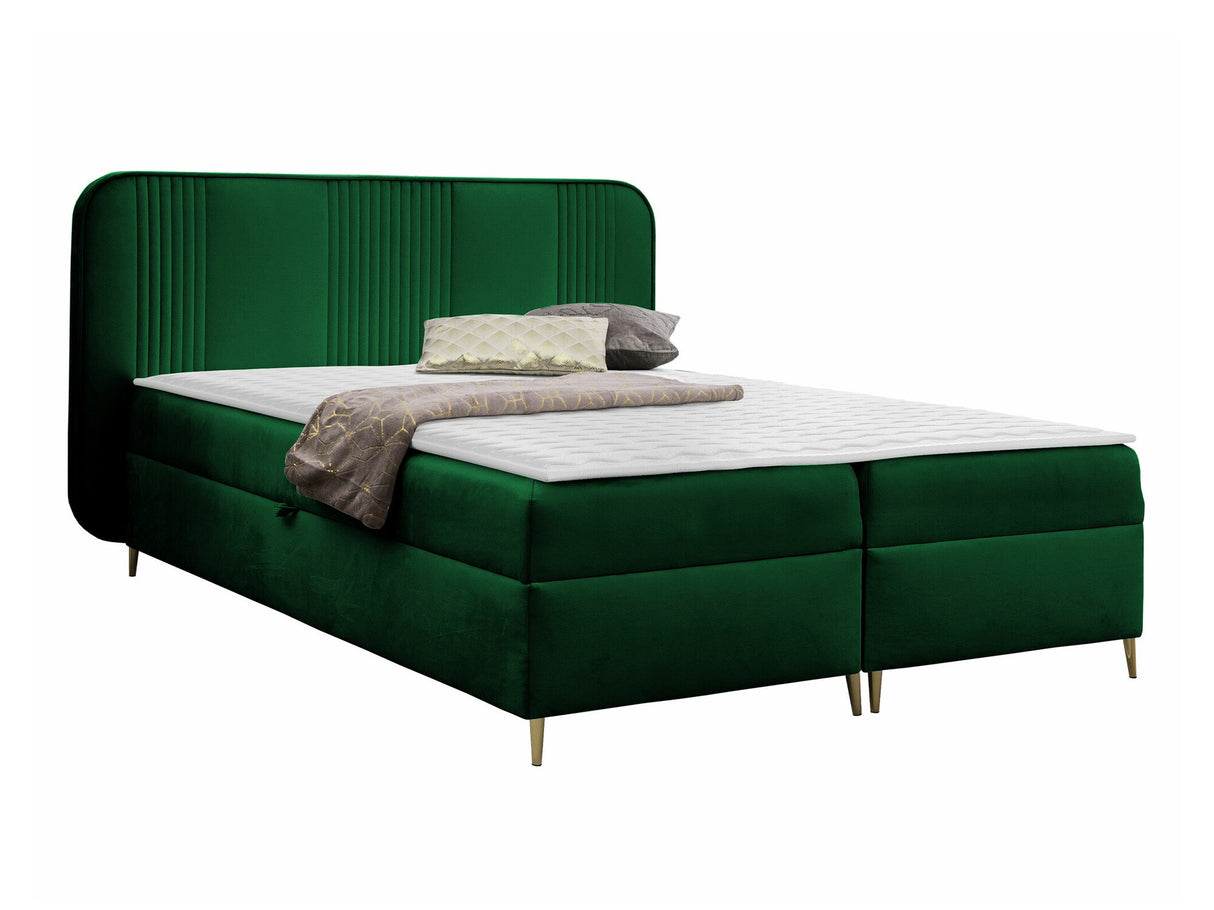 Continental lova 582487