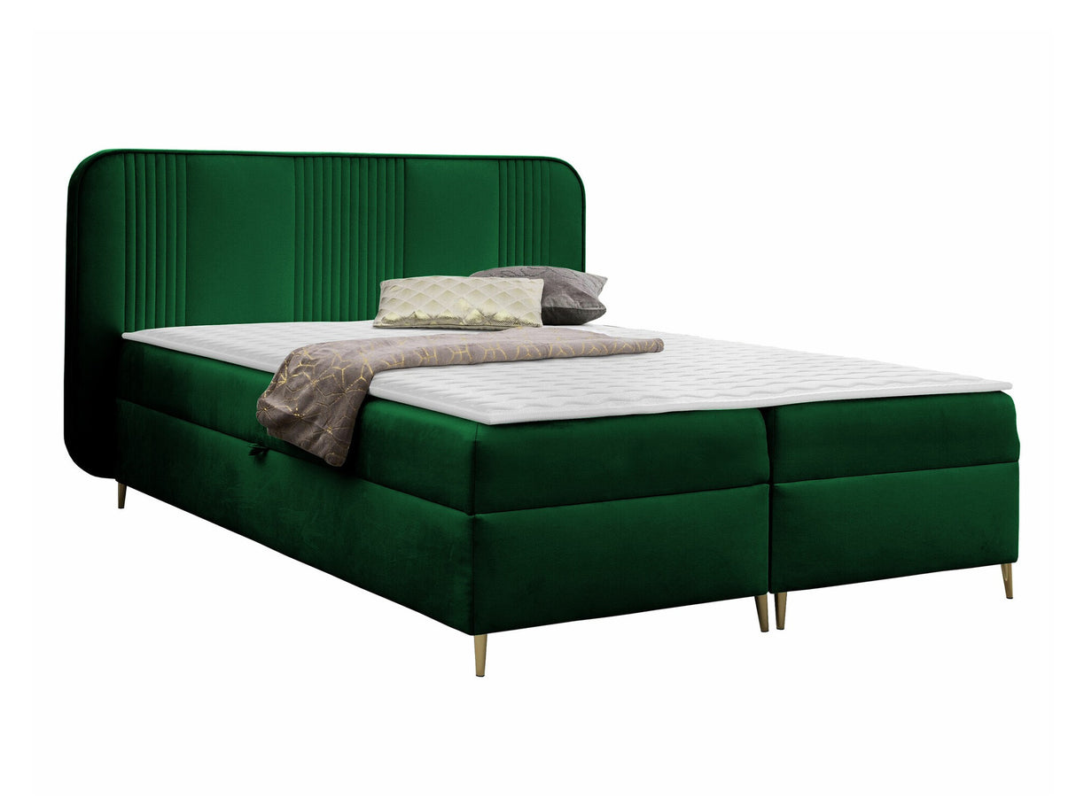 Continental lova 582487