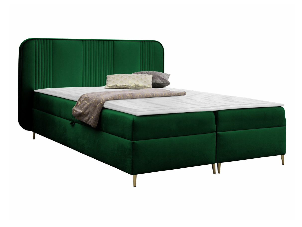 Continental lova 582487