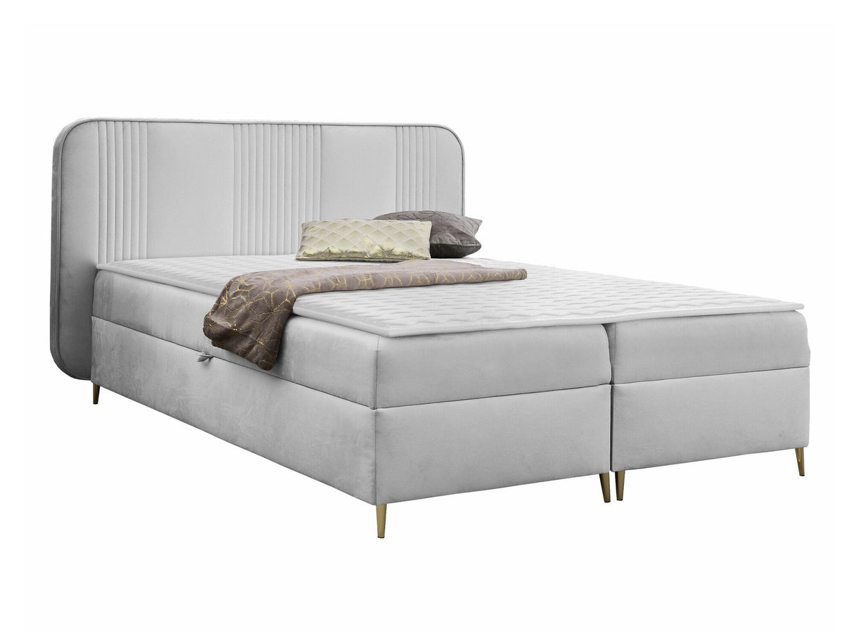 Continental lova 582487