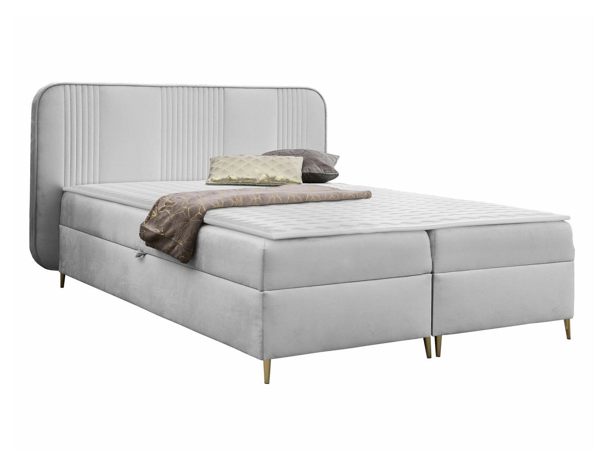 Continental lova 582487